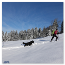 Einfache Schneeschuhwanderung Schneeschuhwanderungen für Einsteiger