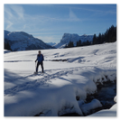 Schnupperschneeschuhtour Hochwinterliche Stimmung während der Schneeschuhtour im Glarnerland