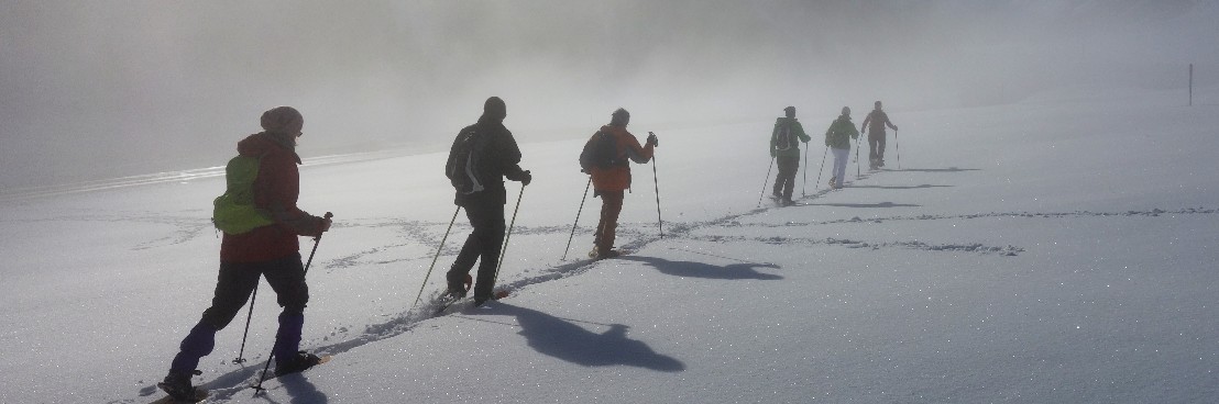 Eine Gruppe Schneeschuhlaeufer hintereinander im leichten Nebel.