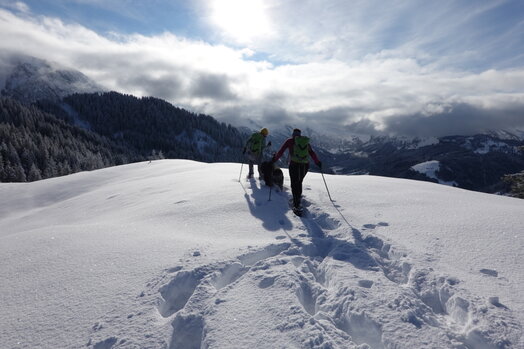 Sonne und tiefer Pulverschnee auf der Schneeschuhwanderung mit Hund Zwei Personen mit einem grossen, schwarzen Hund auf einer Schneeflaeche.